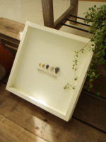 ネイチャーアートフレーム